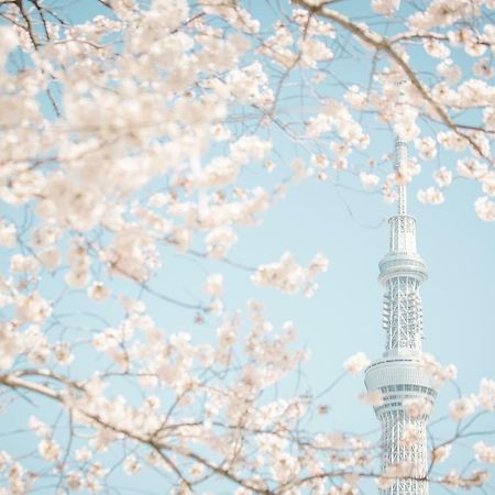 Hotel Ichigaya（Jr Ichigaya Sta.) Tokió Kültér fotó